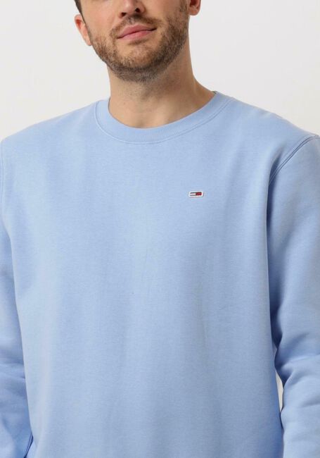 Blauwe TOMMY JEANS Trui TJM REGULAR FLEECE C NECK - large