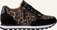 Zwarte GABOR Lage sneakers 335 - medium
