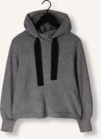 Grijze CO'COUTURE Trui ROW HOODIE KNIT Grijze CO'COUTURE Trui ROW HOODIE KNIT - medium