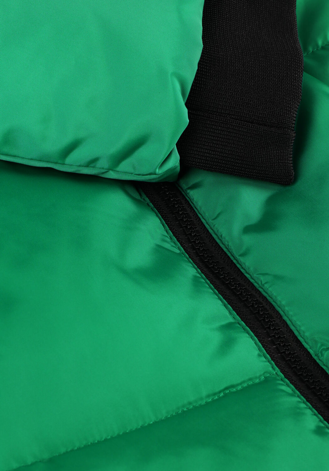 Groene CARS JEANS Gewatteerde jas MALTI - large