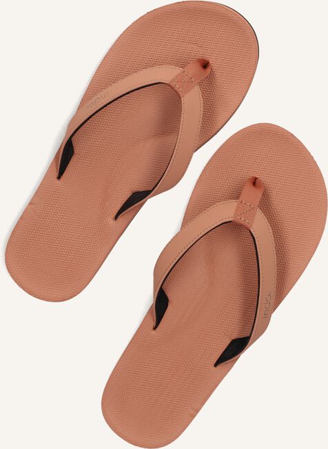 Roze INDOSOLE Teenslippers ESSENTIAL LIGHT FLIP FLOPS Roze INDOSOLE Teenslippers ESSENTIAL LIGHT FLIP FLOPS - large
