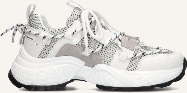 Witte STEVE MADDEN Lage sneakers TAZMANIA Witte STEVE MADDEN Lage sneakers TAZMANIA - large