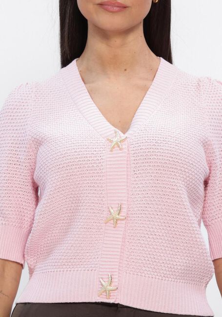 Roze NOTRE-V Trui NV-HIDY - large