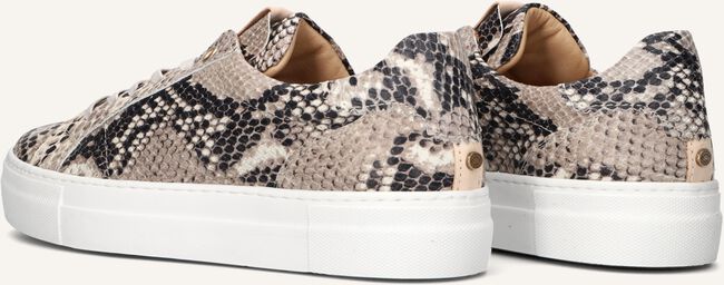 Creme FRED DE LA BRETONIERE Lage sneakers STORM ISA Creme FRED DE LA BRETONIERE Lage sneakers STORM ISA - large