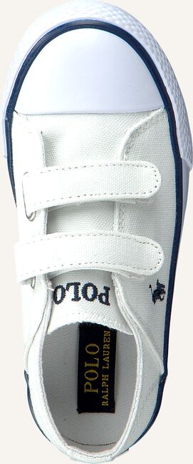 Witte POLO RALPH LAUREN Lage sneakers DARIAN EZ Witte POLO RALPH LAUREN Lage sneakers DARIAN EZ - large