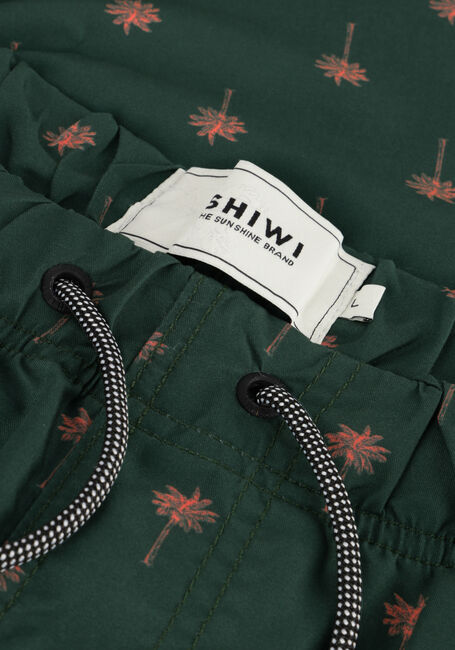 Groene SHIWI Zwembroeken MEN SWIMSHORT PALM Groene SHIWI Zwembroeken MEN SWIMSHORT PALM - large