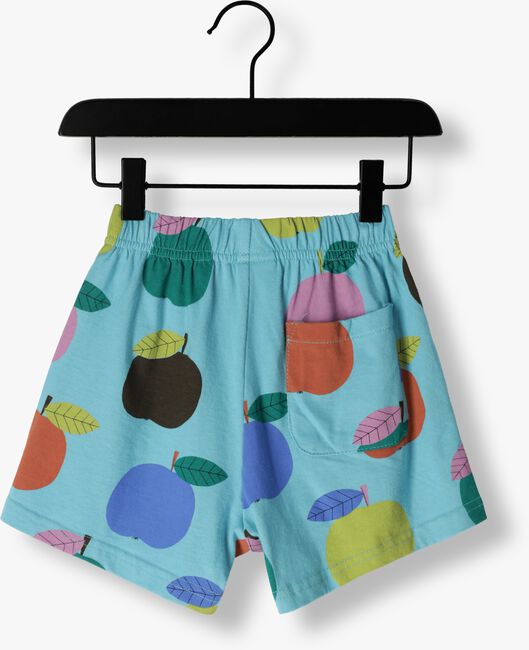 Blauwe Jelly Mallow  COLOURFUL APPLE SHORT PANTS - large