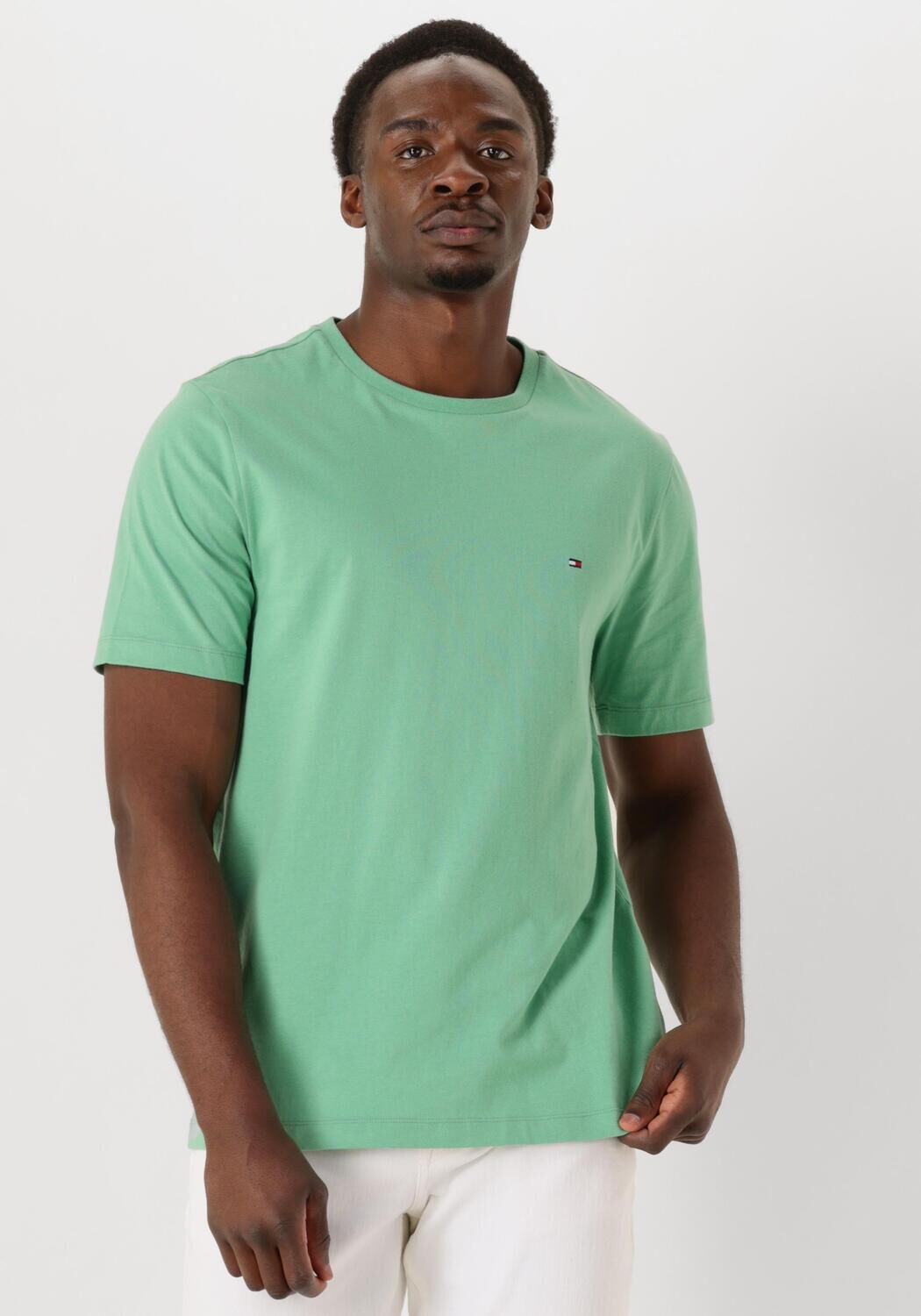 TOMMY HILFIGER Heren Polo's & T-shirts Ess Seasonal Reg Fit Solid Tee Groen