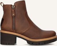 Bruine PANAMA JACK Enkellaarsjes PAULINE - medium