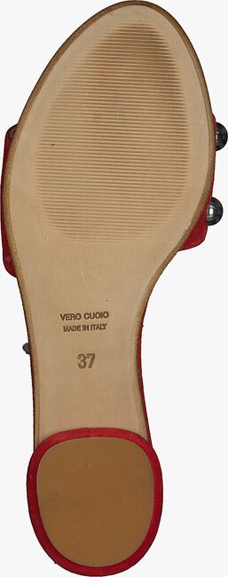 Rode ROBERTO D'ANGELO Slippers M607  - large