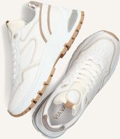 Witte VIA VAI Lage sneakers LIZ DULCE Witte VIA VAI Lage sneakers LIZ DULCE - medium