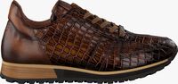 Bruine GIORGIO Lage sneakers HE09501 - medium