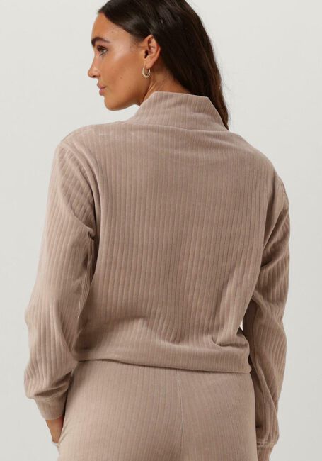 Beige MOSCOW Coltrui 53-04-COLLY - large