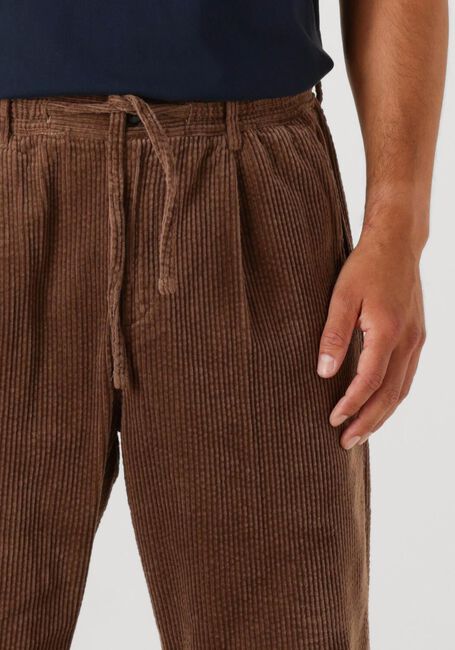 Bruine ANERKJENDT Chino AKJAN CORD PLEAT PANTS - large