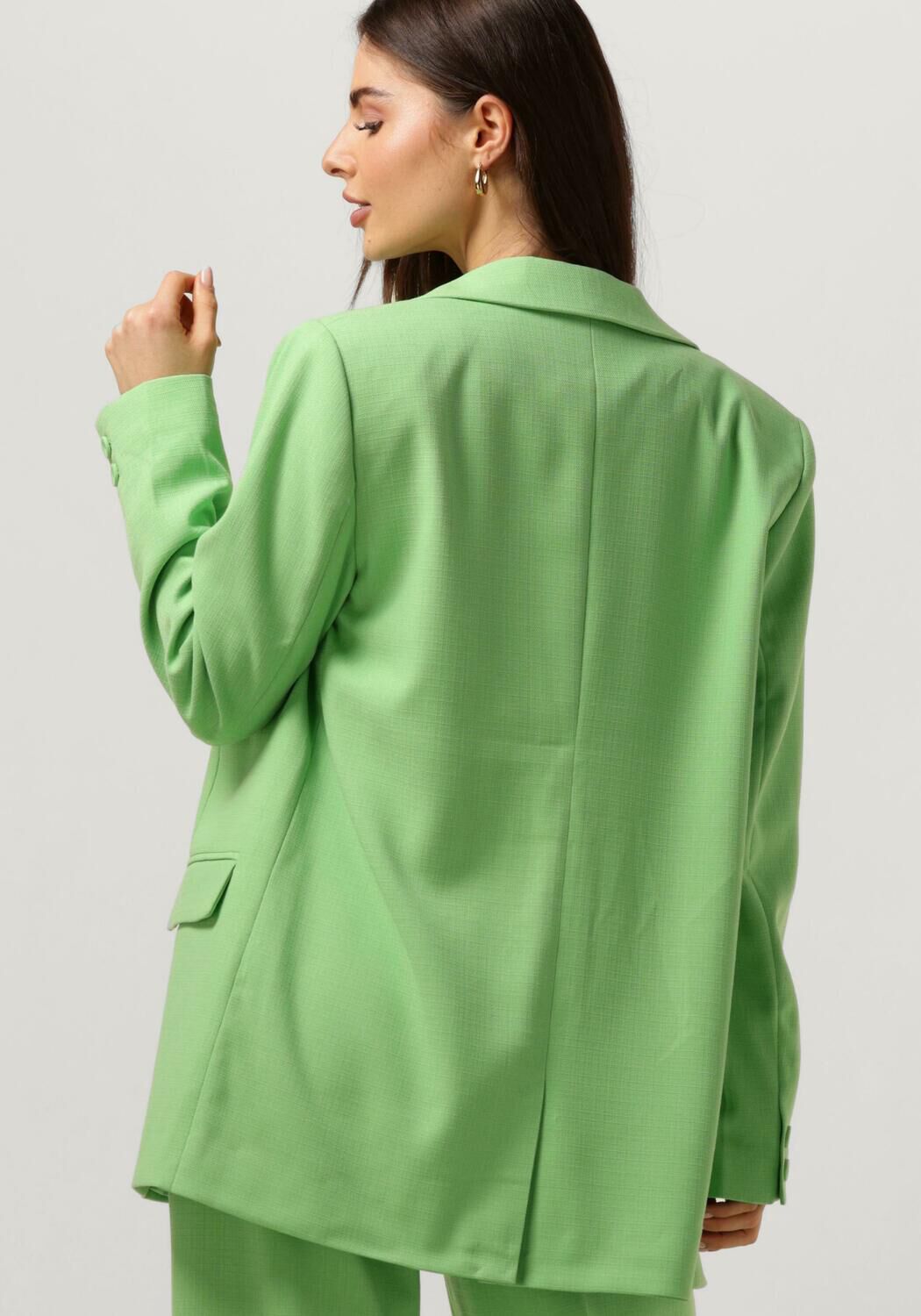 MY ESSENTIAL WARDROBE Dames Blazers Carlamw Blazer Groen