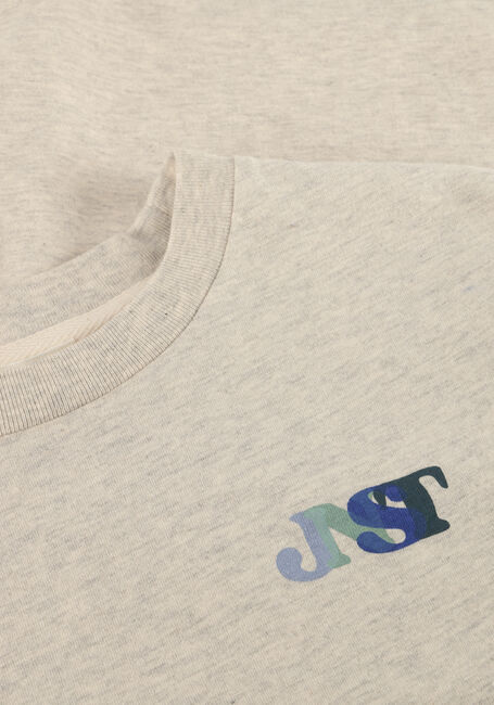 Lichtgrijze JENEST T-shirt MASE T-SHIRT - large