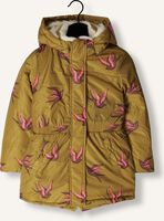 Groene Z8 Parka's DIDY Groene Z8 Parka's DIDY - medium