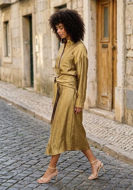 Gouden JOSH V Midirok JAIME - large