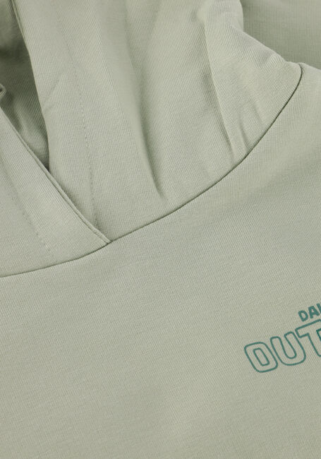 Mint DAILY7 Trui HOODIE BACKPRINT - large