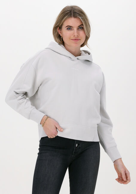 Lichtgrijze CALVIN KLEIN Trui MICRO BRANDING HOODIE - large