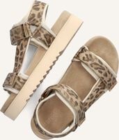 Bruine MARUTI Sandalen BEAU Bruine MARUTI Sandalen BEAU - medium