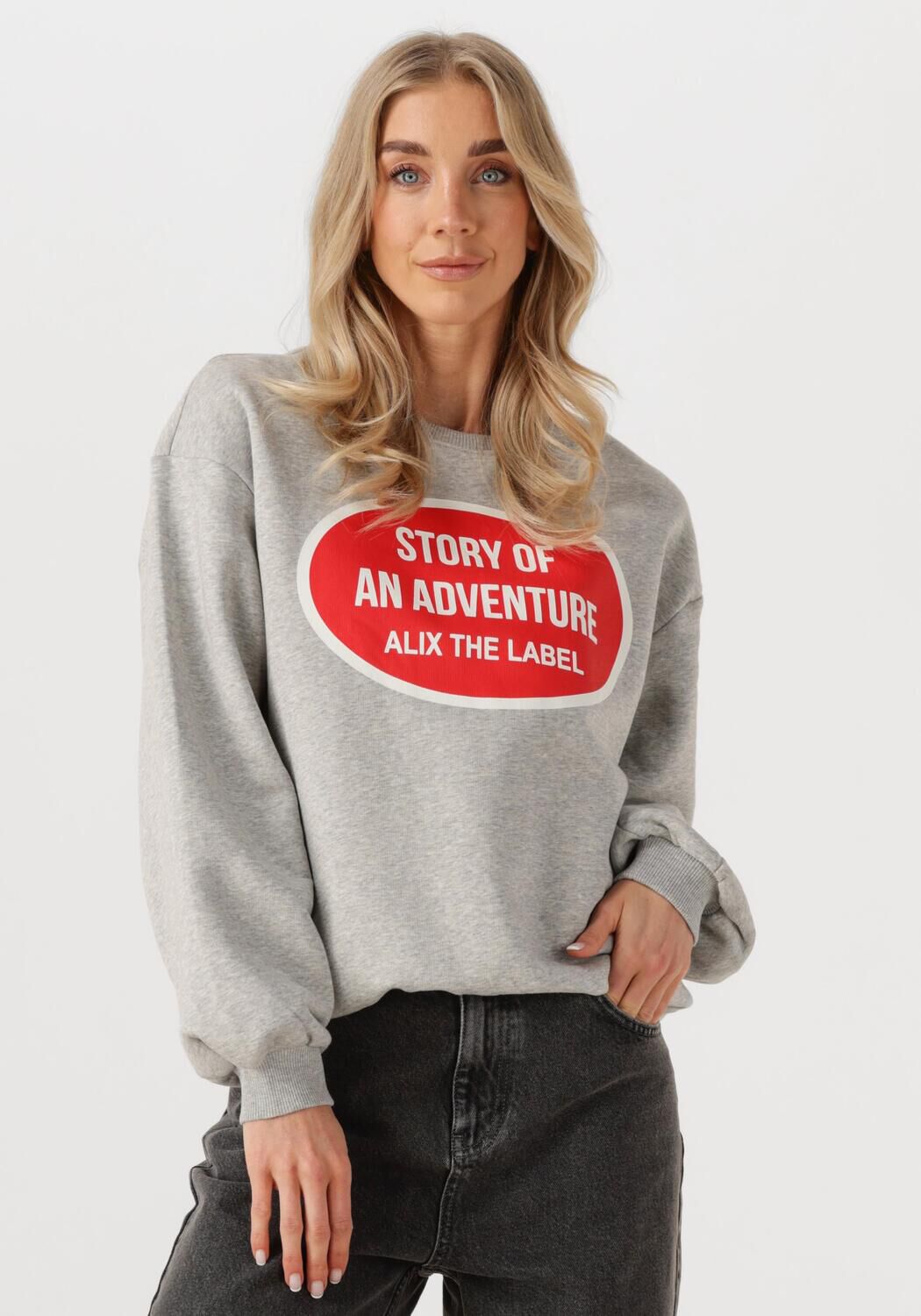 ALIX THE LABEL Dames Truien & Vesten Ladies Knitted Adventure Sweater Grijs