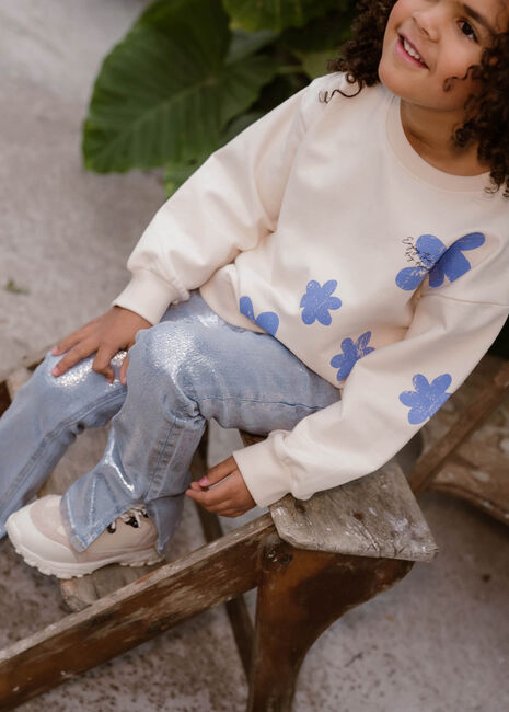 Zilveren DAILY7 Flared jeans 2453 FLARED FIT POCKET - large