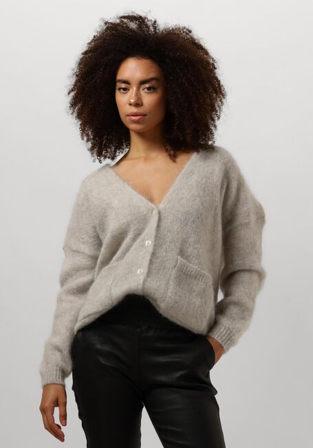 Grijze DES PETITS HAUTS Vest BETANI - large