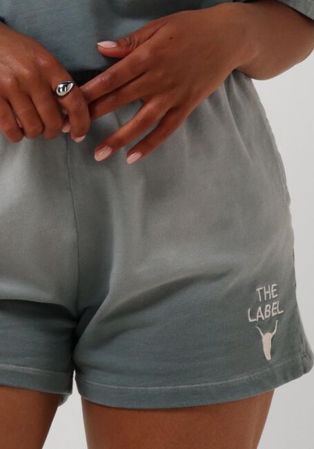 Grijze ALIX THE LABEL Broeken LADIES KNITTED SPRAYED SWEAT SHORTS - large