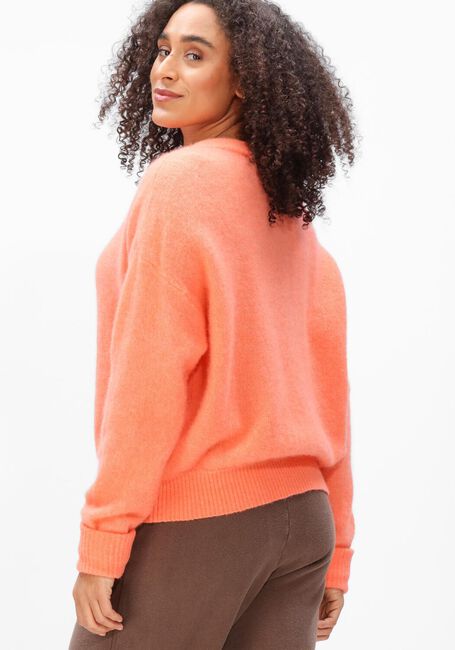 Oranje AMERICAN VINTAGE Trui VITOW - large