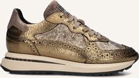 Gouden FLORIS VAN BOMMEL Lage sneakers SUMI 07.08 - medium