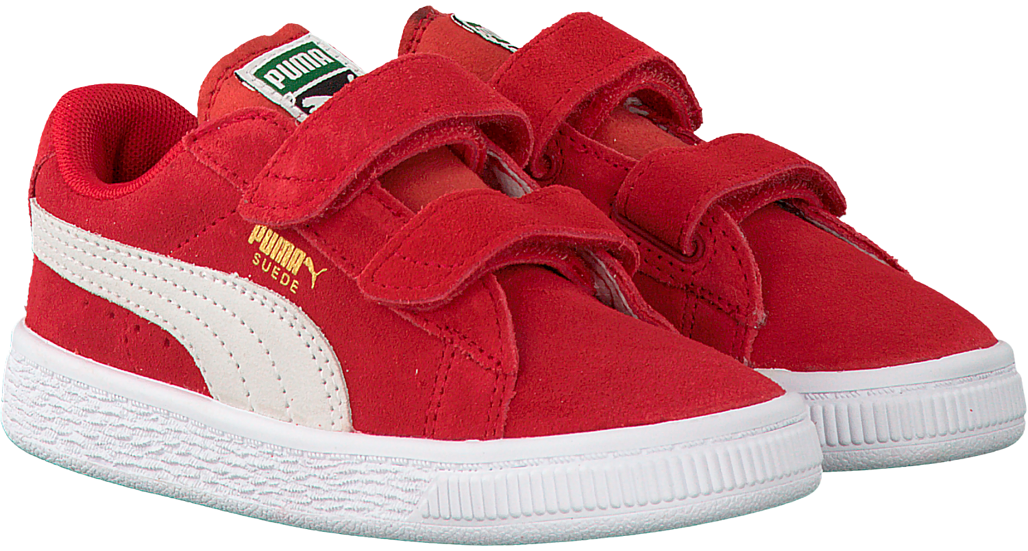 تفهم حزين قطع rode puma - ashworkshop.org