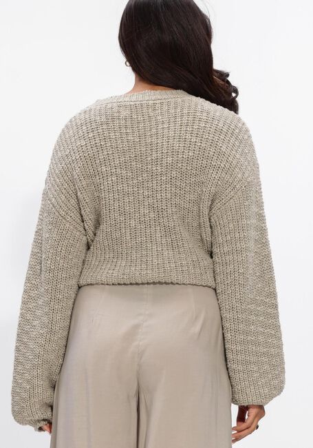 Grijze WITHBLACK Truien/vesten WBLSELENA LS PULLOVER - large