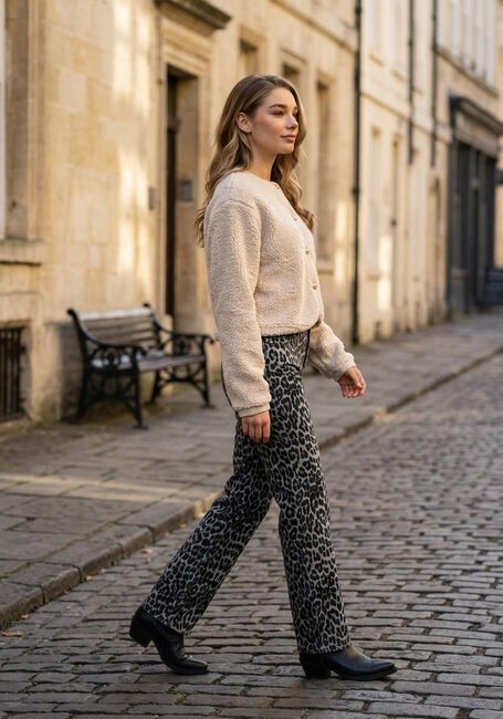 Bruine NEO NOIR Lange broeken SIMONA LEOPARD PANTS - large