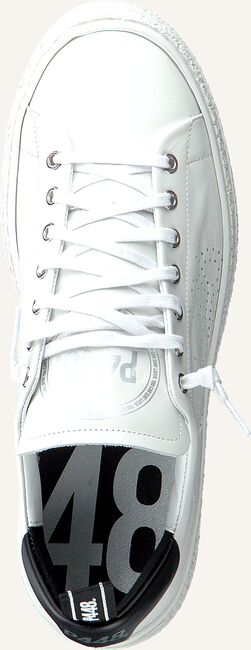Witte P448 Lage sneakers SHANE MEN Witte P448 Lage sneakers SHANE MEN - large