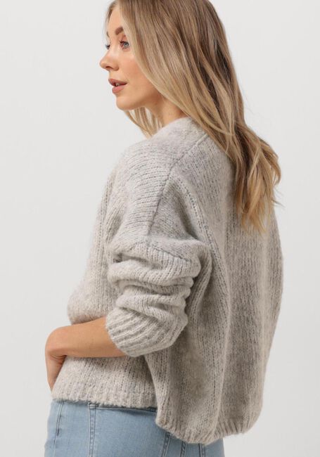 Grijze KNIT-TED Vest BECKY - large