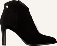 NOTRE-V 87433 - medium