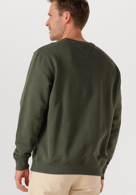 Donkergroene TOMMY JEANS Trui TJM REG BADGE CREW EXT - large