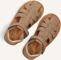 Taupe SHOESME Platte sandalen CS24S017 Taupe SHOESME Platte sandalen CS24S017 - medium