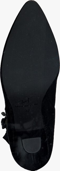 Zwarte TORAL Enkellaarsjes 10922 - large