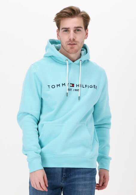 Lichtblauwe TOMMY HILFIGER Sweater TOMMY LOGO HOODY - large