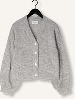 Grijze MSCH COPENHAGEN Vest MSCHPETRINELLE HOPE CARDIGAN Grijze MSCH COPENHAGEN Vest MSCHPETRINELLE HOPE CARDIGAN - medium