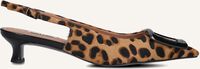 Cognac BIBI LOU Slingbacks 613 Cognac BIBI LOU Slingbacks 613 - medium