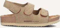 Taupe GIOSEPPO Sandalen KRAPINA Taupe GIOSEPPO Sandalen KRAPINA - medium