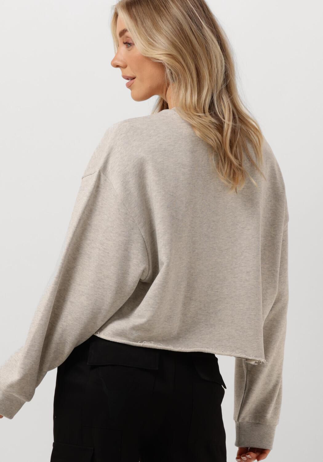 ALIX THE LABEL Dames Truien & Vesten Ladies Knitted Cropped World Tour Sweater Grijs