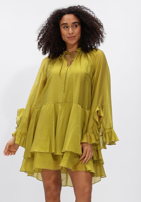 Groene DEVOTION Jurken SHEEN - large