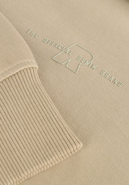 Taupe RAIZZED Truien/vesten EUGENE - large