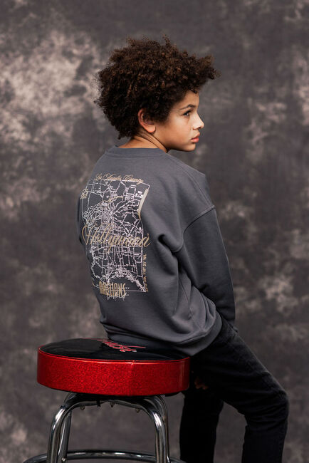 Donkergrijze MALELIONS Trui HOLLYWOOD MAP SWEATER - large