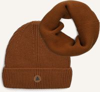 Bruine AMMEHOELA Muts AM.WOUT.02 Bruine AMMEHOELA Muts AM.WOUT.02 - medium