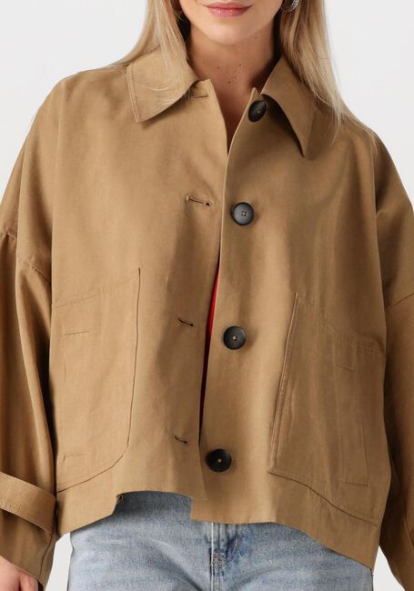 Camel MY ESSENTIAL WARDROBE Jack LYONMW SHORT BOMBER JACKET - large